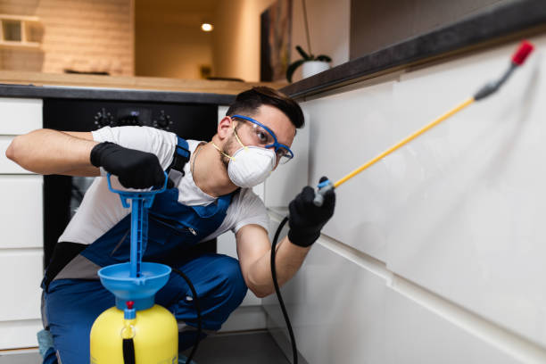Best Termite Control Services  in Polk City, FL
