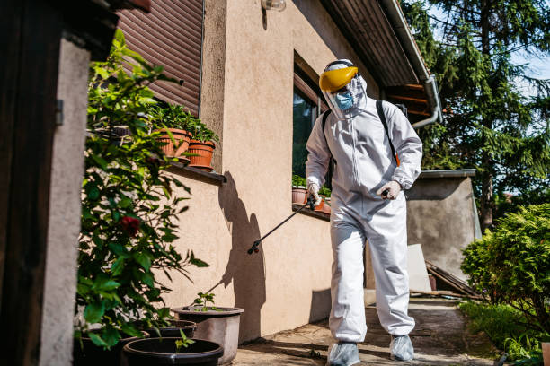 Best Local Pest Control Services  in Polk City, FL