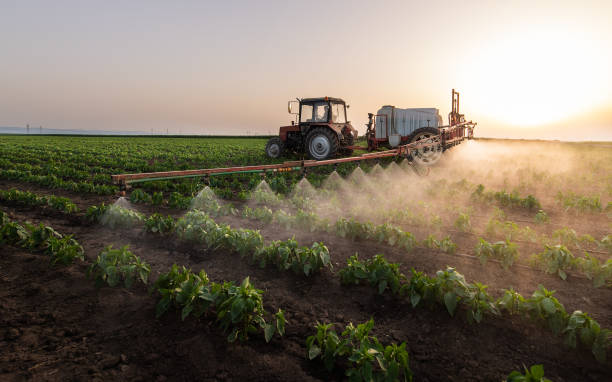 Best Commercial Pest Control Services  in Polk City, FL