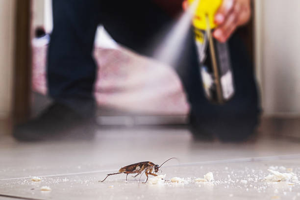 Best Mosquito Control Services  in Polk City, FL